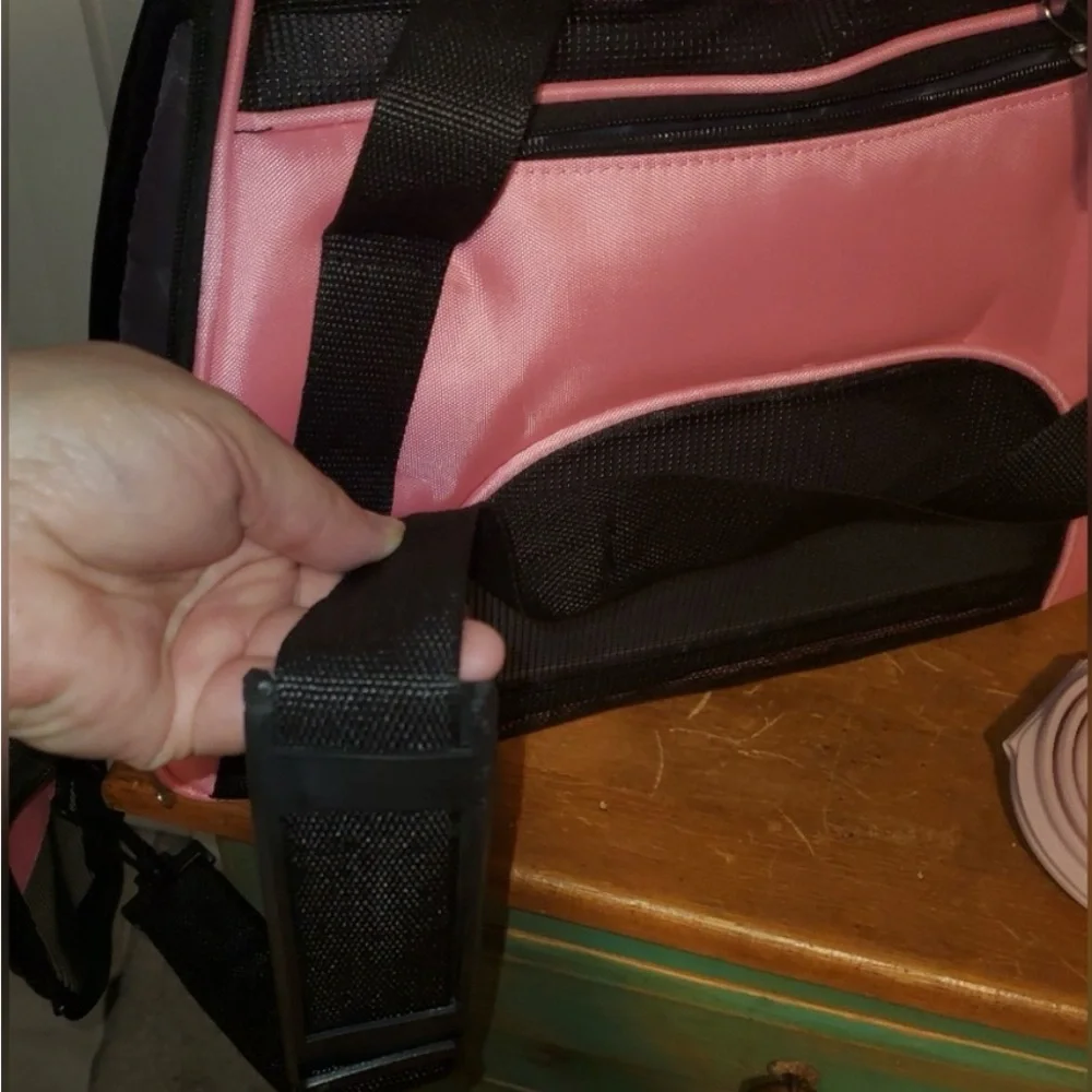 Collapsible Pink Travel Pet Carrier & Bowl Set
